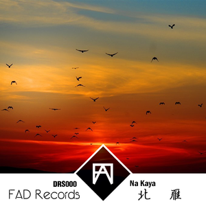 美国老妇女BBBMMM
