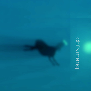 美国老妇女BBBMMM
