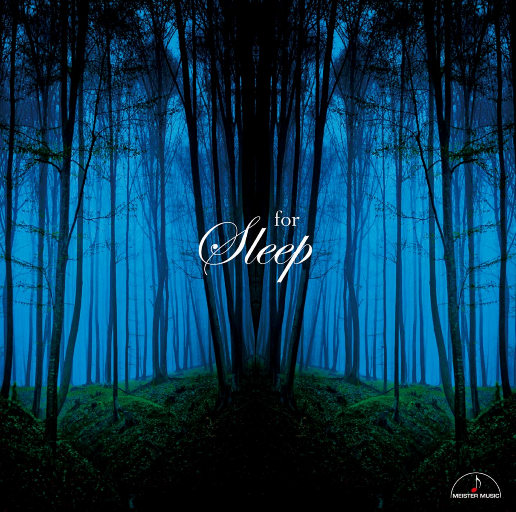 美国老妇女BBBMMM
